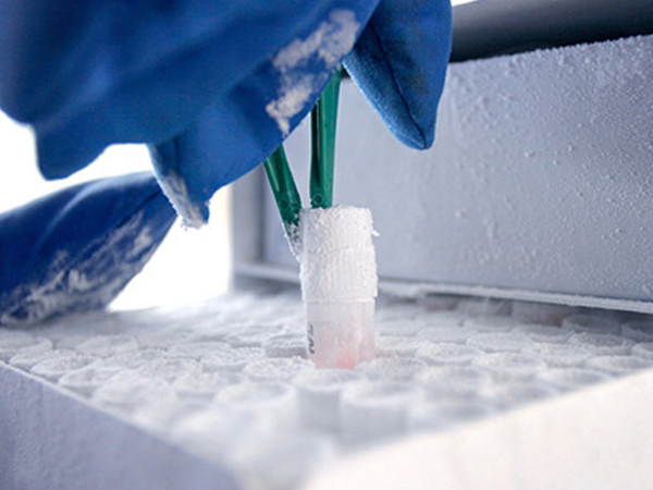 赢天堂教你如何选择冷冻食品不干胶标签？